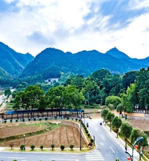 4721576505086_.pic_hd